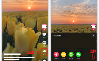 怎样剪辑短视频无水印 一键去除短视频水印！超清画面完美还原，这3种方法真的太好用了