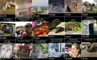 短视频制作树洞软件 有点冷门但比较赚钱的7个小副业，手机就能做