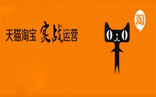 瑞火科技 警惕！“瑞火代运营“的连环骗局：收了钱就装，中小商家的血泪警告